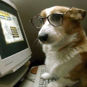 BLOW OUT SALE 4 NEW COMPUTER!